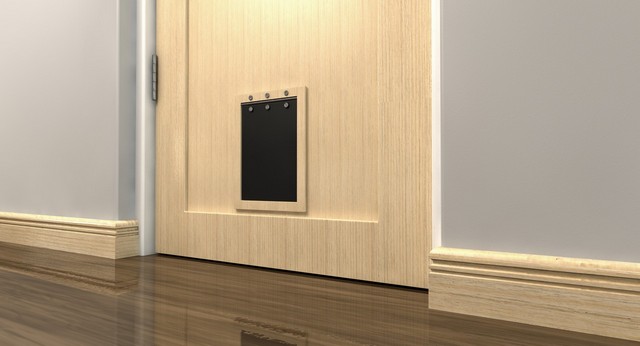 Cat Flap Installation Maida Vale, Warwick Avenue, W9