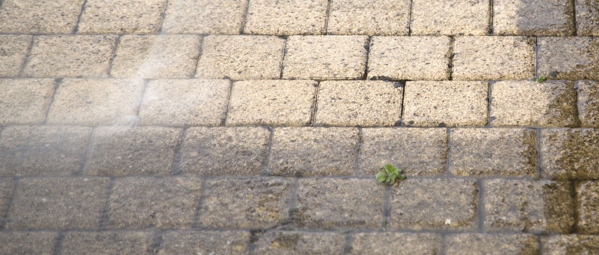 flagging and patios W9